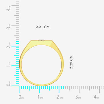 Signet Gold Ring
